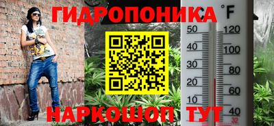 прущий лед Канаш