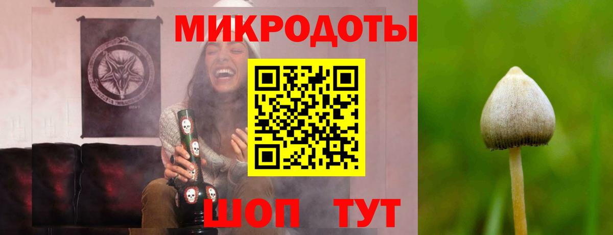 Псилоцибиновые грибы GOLDEN TEACHER Ижевск